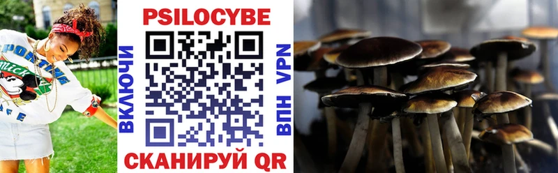 Купить где  Челябинск  Галлюциногенные грибы MAGIC MUSHROOMS 